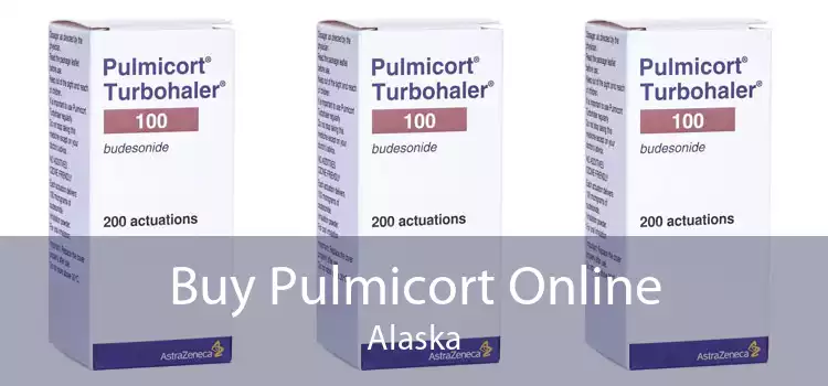 Buy Pulmicort Online Alaska