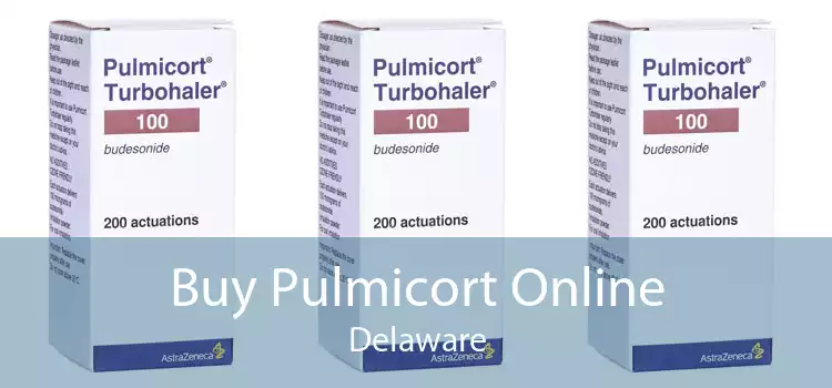 Buy Pulmicort Online Delaware