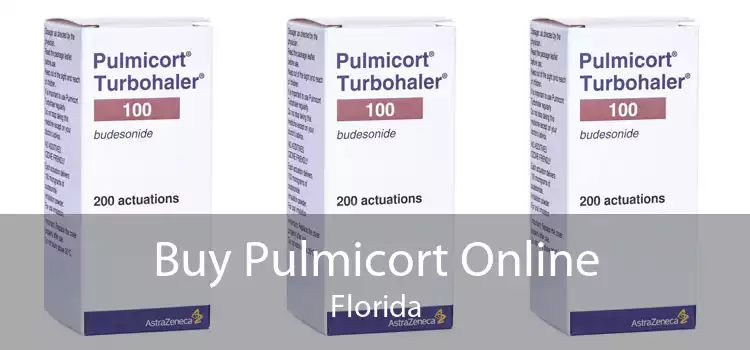 Buy Pulmicort Online Florida