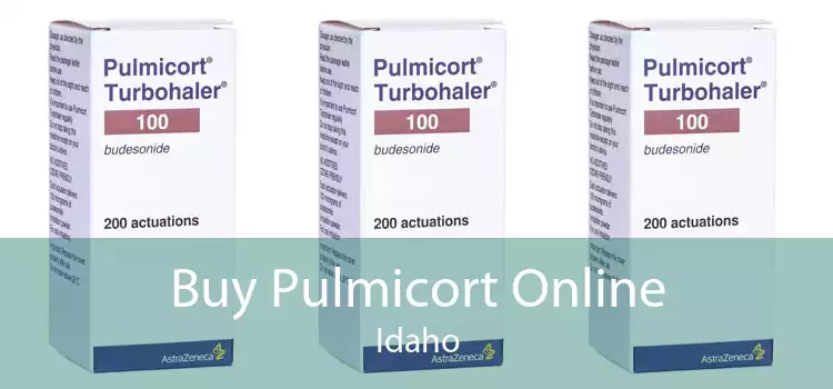 Buy Pulmicort Online Idaho