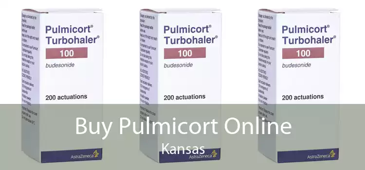 Buy Pulmicort Online Kansas