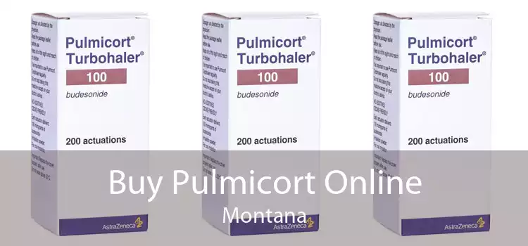 Buy Pulmicort Online Montana