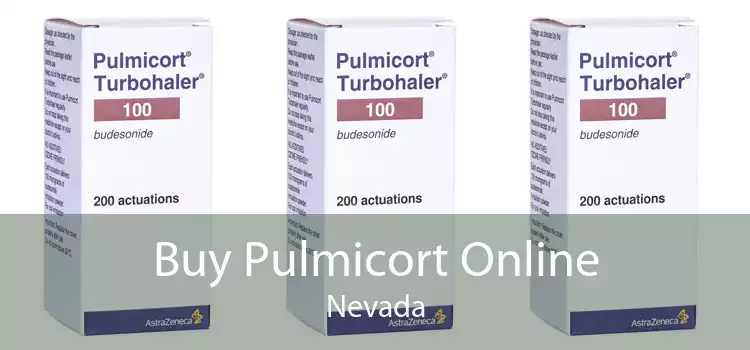 Buy Pulmicort Online Nevada