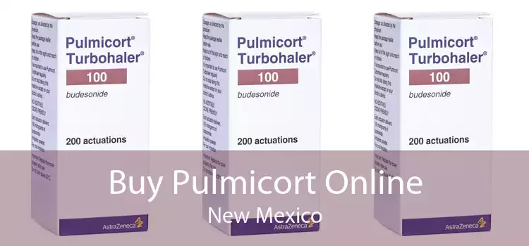 Buy Pulmicort Online New Mexico
