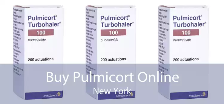 Buy Pulmicort Online New York