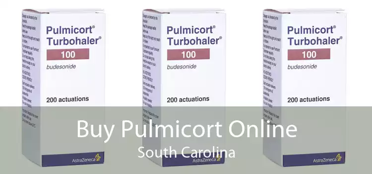 Buy Pulmicort Online South Carolina
