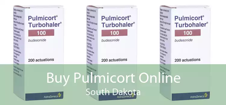 Buy Pulmicort Online South Dakota
