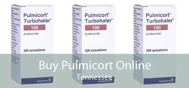 Buy Pulmicort Online Tennessee