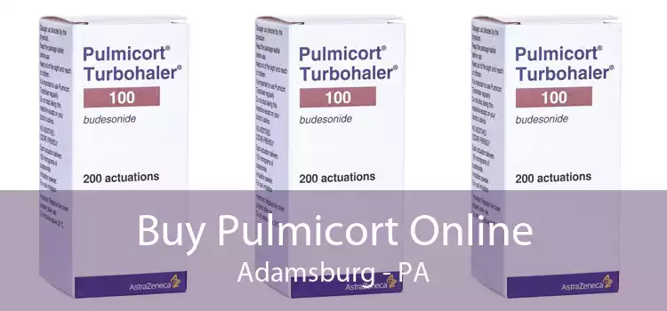 Buy Pulmicort Online Adamsburg - PA