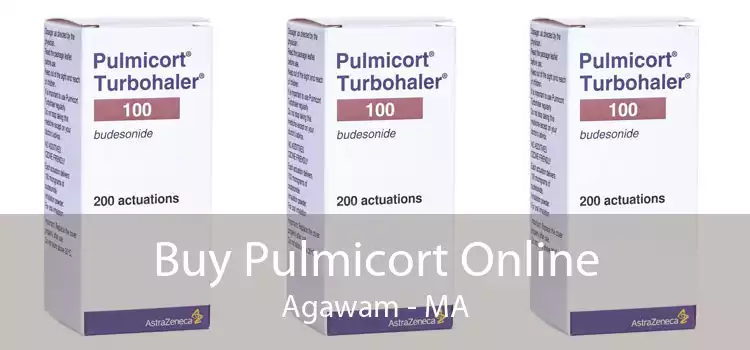 Buy Pulmicort Online Agawam - MA