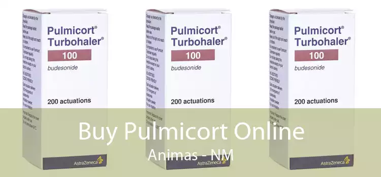 Buy Pulmicort Online Animas - NM