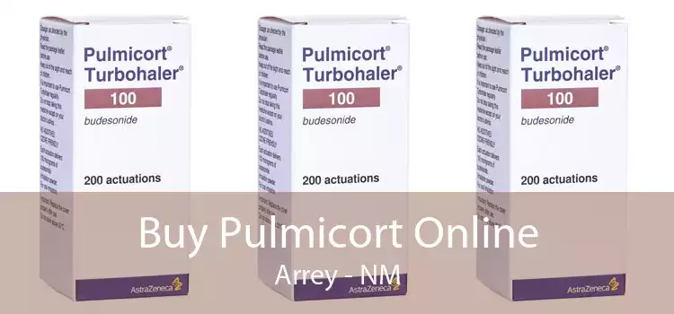Buy Pulmicort Online Arrey - NM