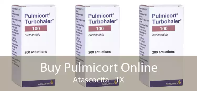 Buy Pulmicort Online Atascocita - TX