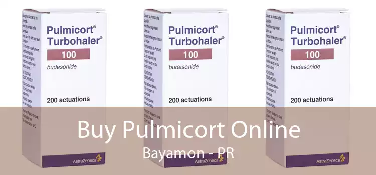 Buy Pulmicort Online Bayamon - PR