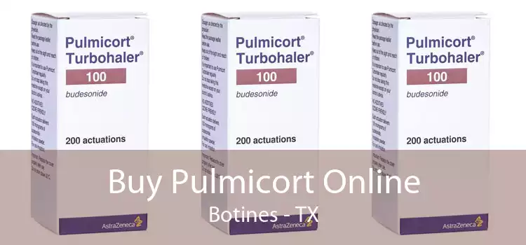 Buy Pulmicort Online Botines - TX