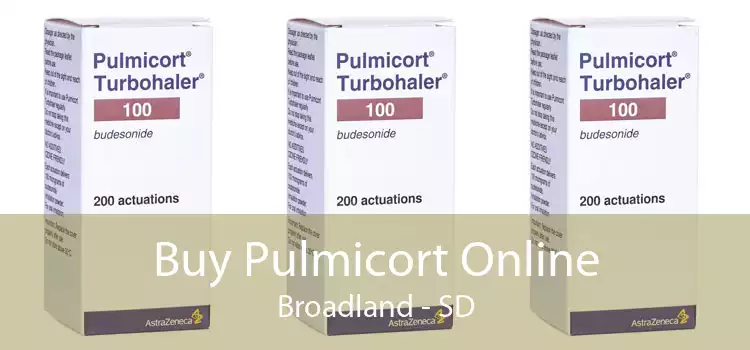 Buy Pulmicort Online Broadland - SD