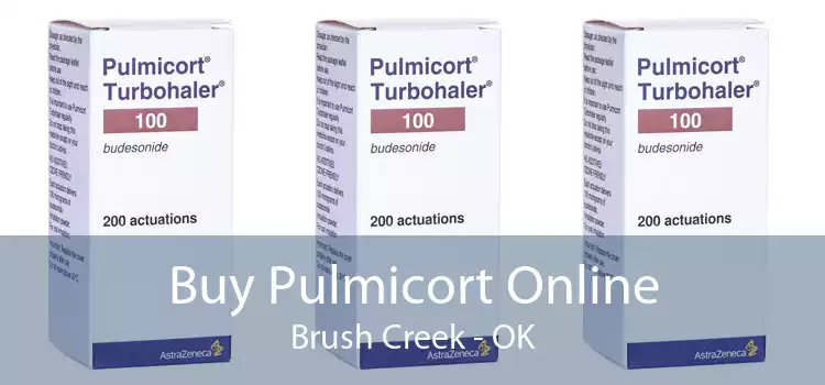 Buy Pulmicort Online Brush Creek - OK