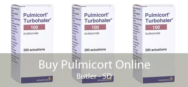 Buy Pulmicort Online Butler - SD