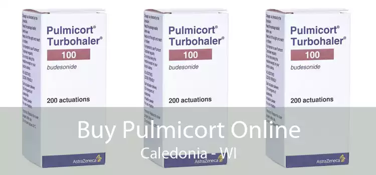 Buy Pulmicort Online Caledonia - WI