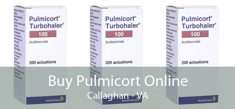 Buy Pulmicort Online Callaghan - VA