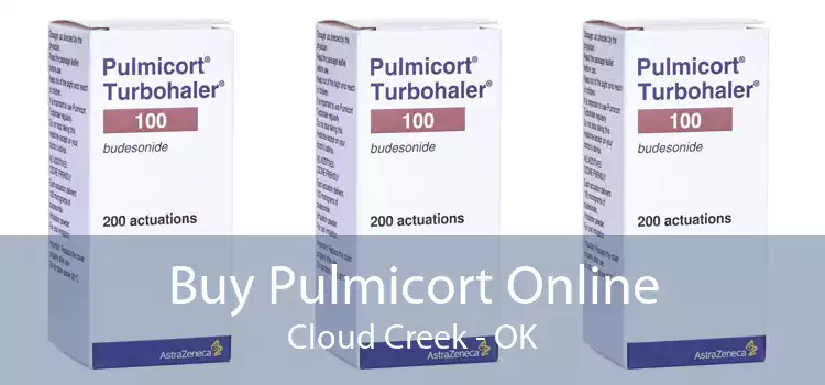 Buy Pulmicort Online Cloud Creek - OK