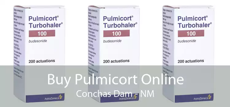 Buy Pulmicort Online Conchas Dam - NM
