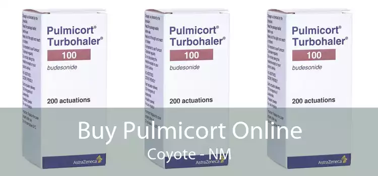 Buy Pulmicort Online Coyote - NM