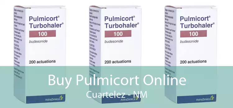 Buy Pulmicort Online Cuartelez - NM