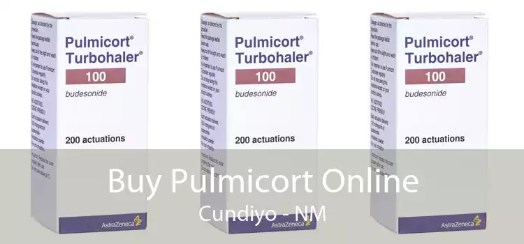 Buy Pulmicort Online Cundiyo - NM