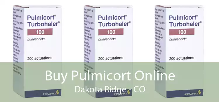 Buy Pulmicort Online Dakota Ridge - CO