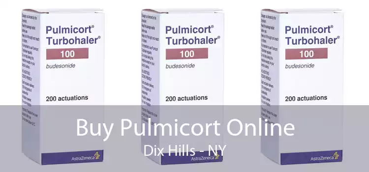 Buy Pulmicort Online Dix Hills - NY